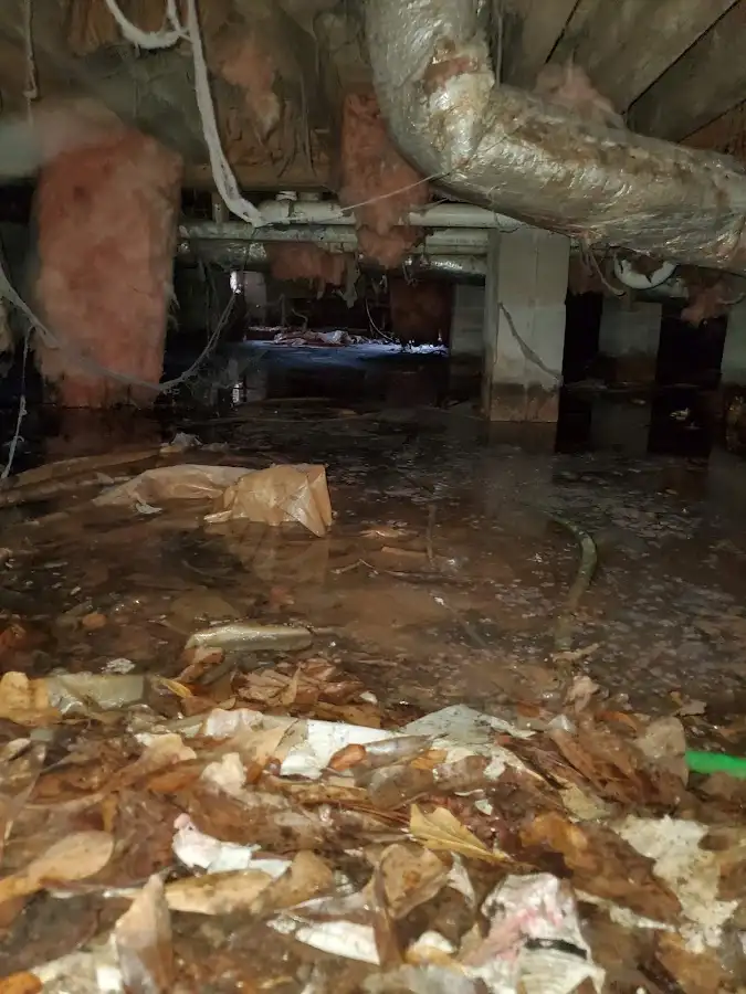Crawl space flood assessment for Leak Detection & Repair in Zionsville